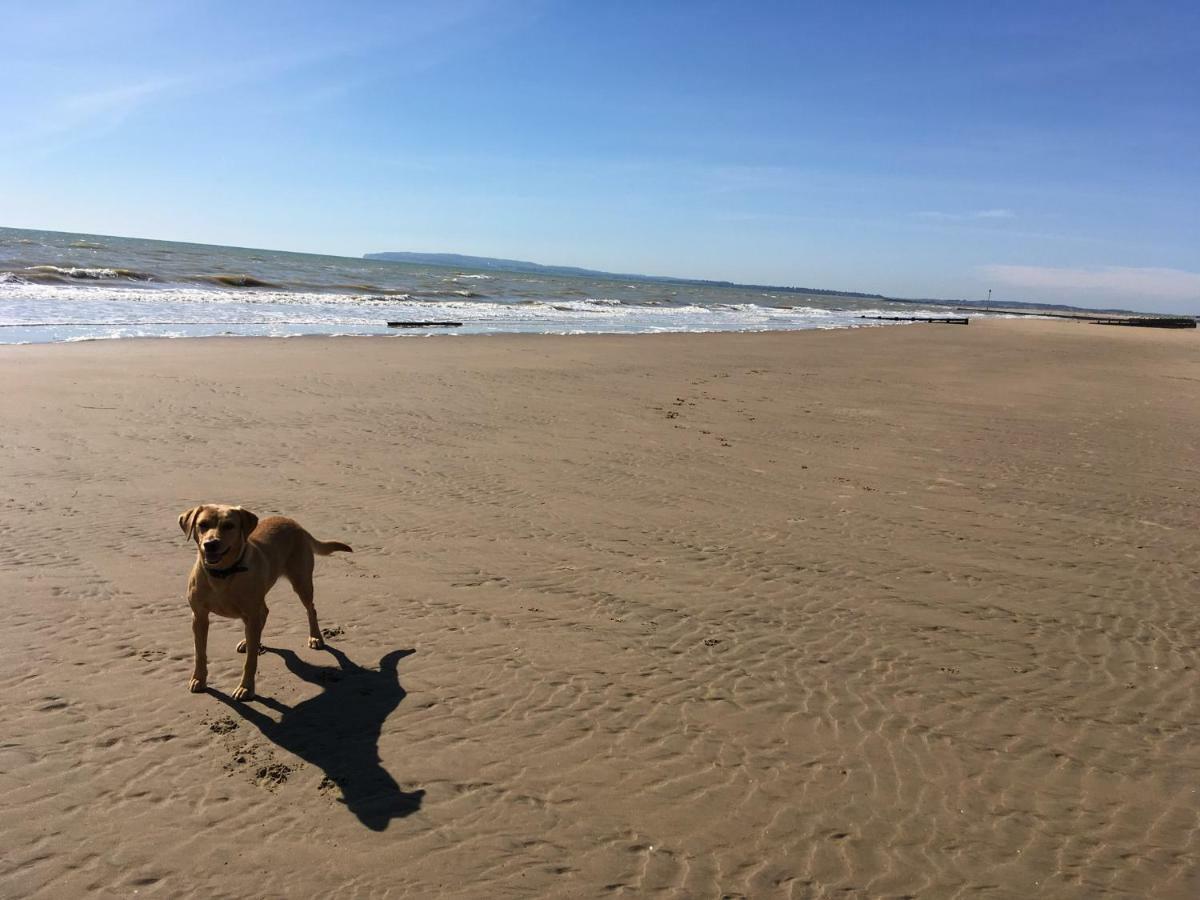 7 Coastguard Cottages, Jury'S Gap, Camber Sands 外观 照片